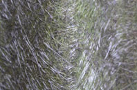 Bedminster fibreglass roof work